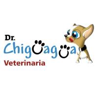 Veterinaria Dr. Chiguagua