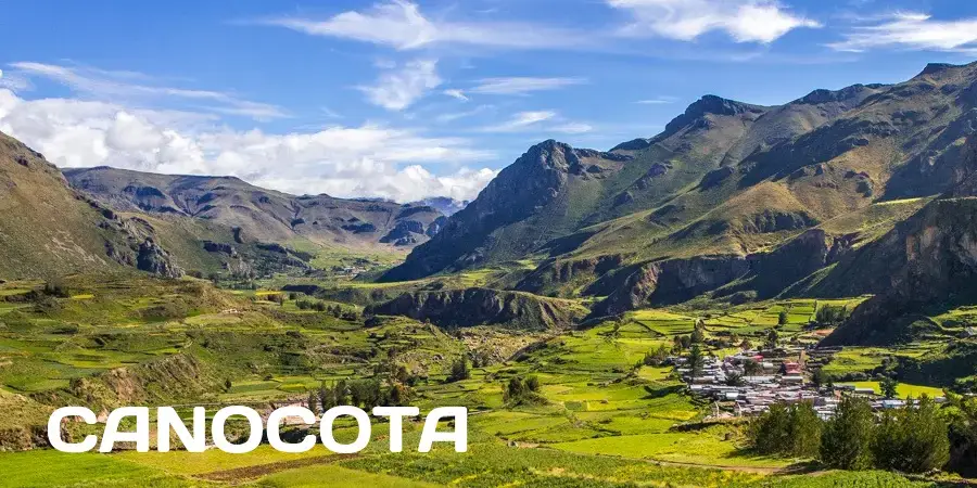 Canocota