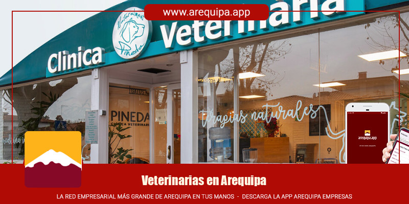 Veterinarias en Arequipa